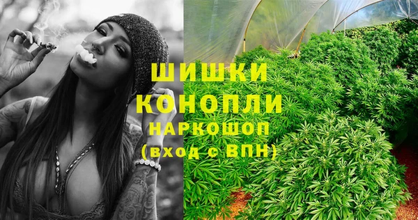 стафф Гусев