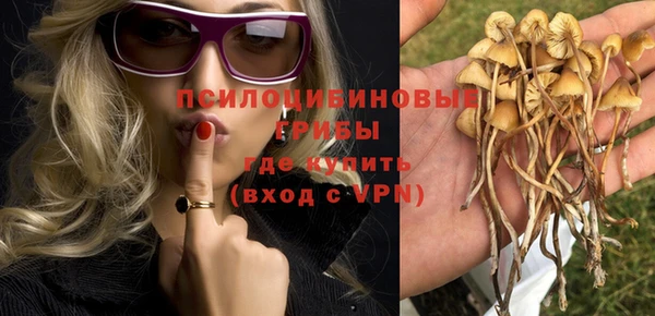 гидропоника Абаза