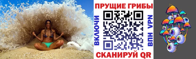 Псилоцибиновые грибы Cubensis  сайты даркнета телеграм  Кудымкар 
