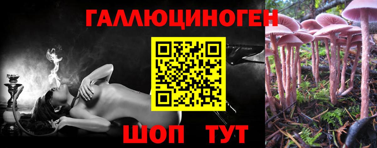 Кудымкар  Галлюциногенные грибы Psilocybe  Вход с VPN  что такое наркотик  Галлюциногенные грибы Cubensis 